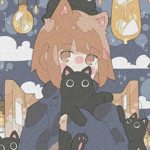 星轨回声